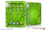 iPad Skin Stardust Green (fits iPad 2 through iPad 4)